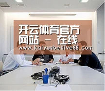 研发能力标题二