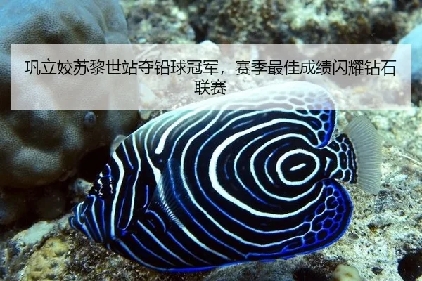 巩立姣苏黎世站夺铅球冠军，赛季最佳成绩闪耀钻石联赛